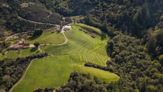 Alta Orsa Winery