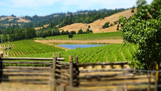 Anderson Valley Winegrowers Association