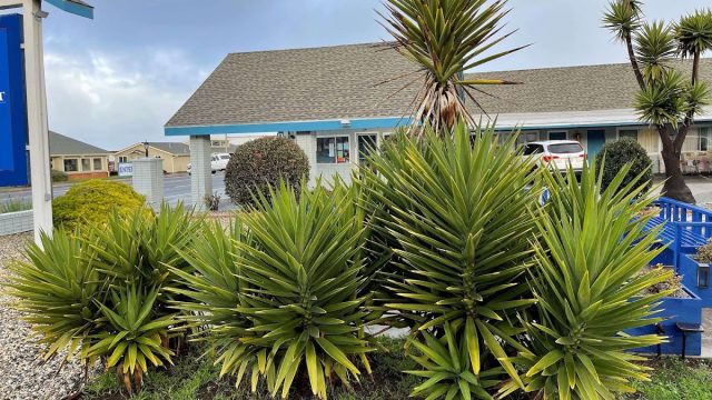 Baymont by Wyndham Fort Bragg