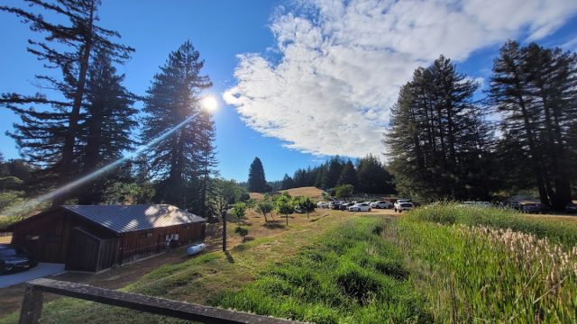 Blackbird Farm