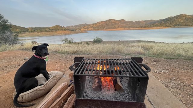 Blue Oak Campground