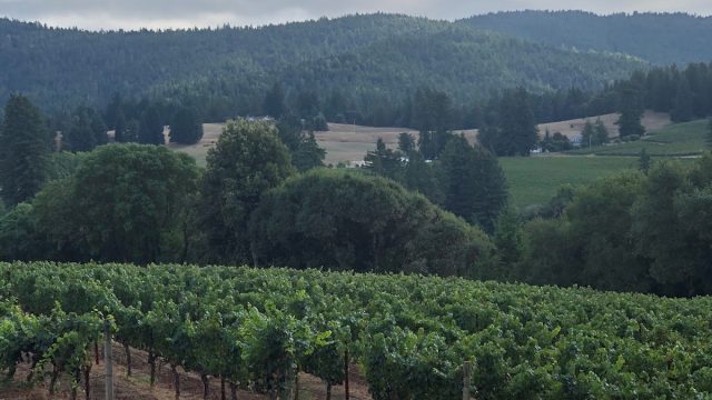 Brashley Vineyards Tasting Room and Winery