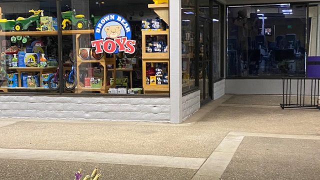 Brown Bear Toys