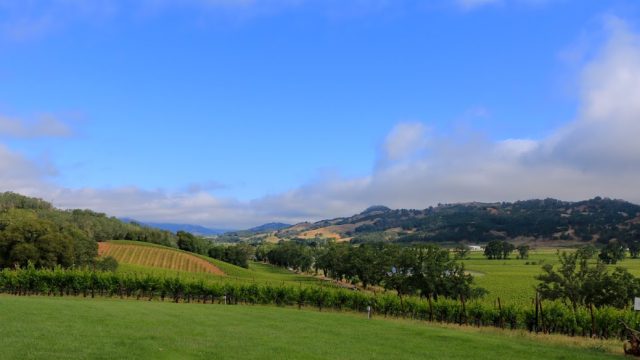 Brutocao Cellars (Production/Deliveries)