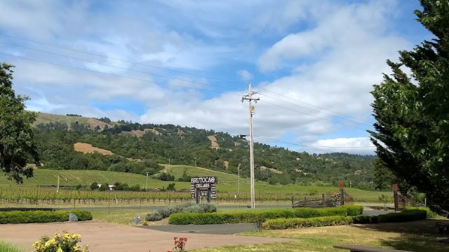 Brutocao Vineyards