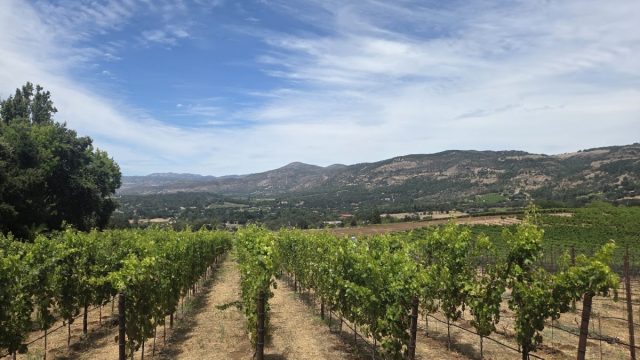 Caldwell Vineyard & Winery