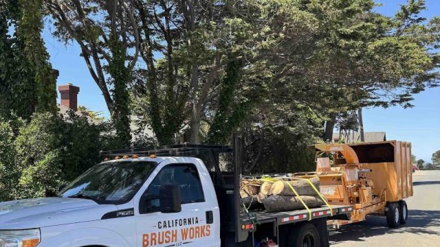 California Brush Works