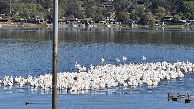 Clear Lake Vista Resort Boat Launch and Marina Open!