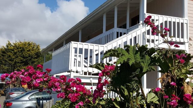 Coast Inn & Spa