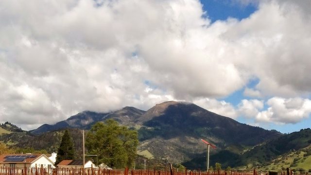 Coquerel Family Wine Estates