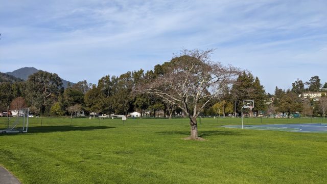 Corte Madera Town Park
