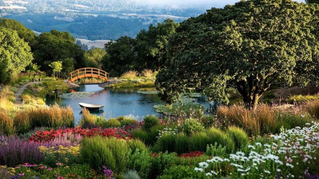 Coursey Graves Estate Winery
