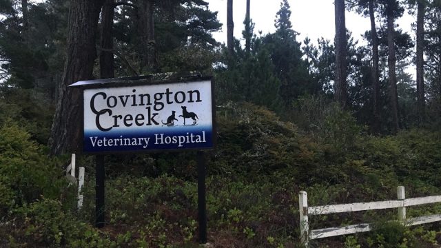 Covington Creek Veterinary Hospital