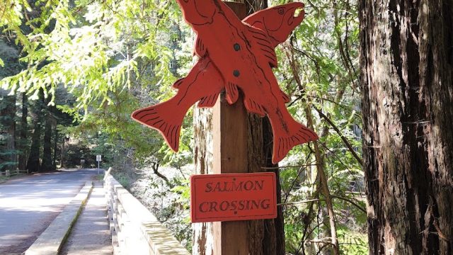 Creekside Loop Campground