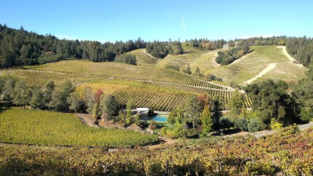 Diamond Creek Vineyards
