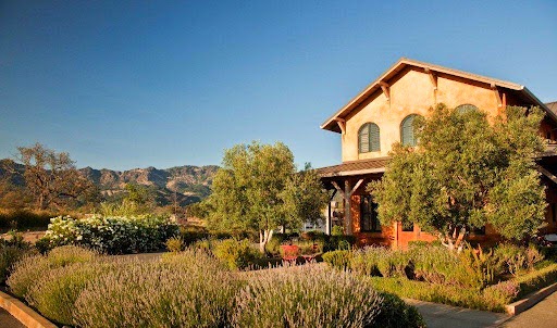 Envy Wines