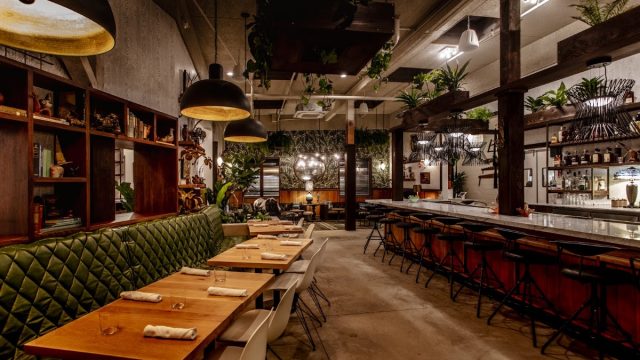 Fern Bar