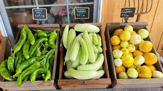 Ferndale Family Farms