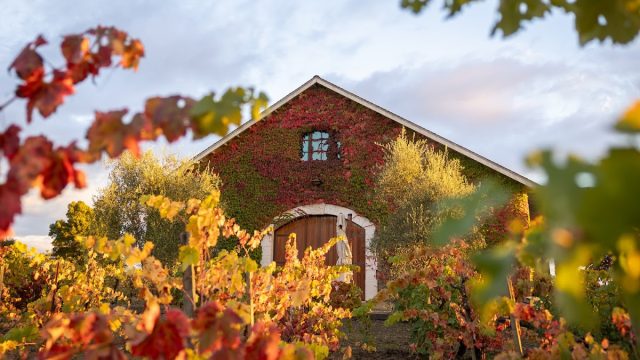Gamba Vineyards & Winery