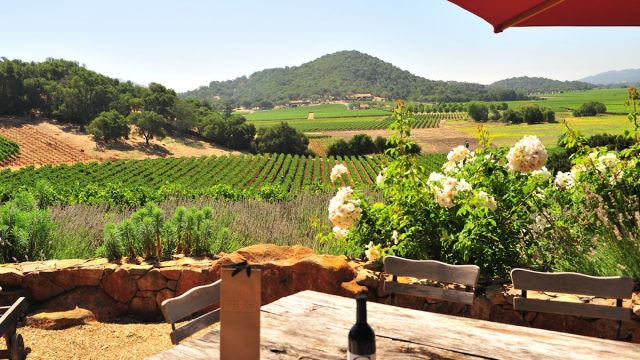 Gargiulo Vineyards