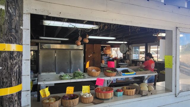 Grace’s Oak Tree Fruit Stand