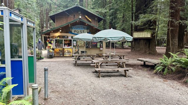 Gualala River Redwood Park