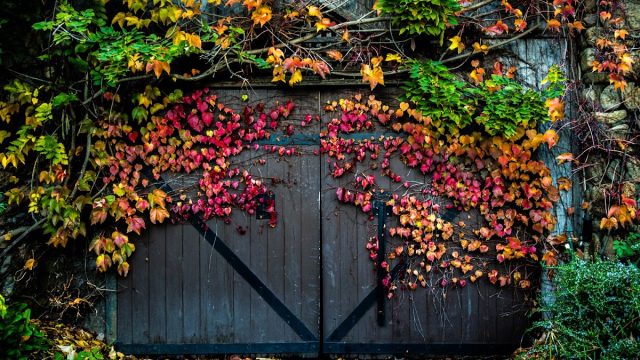 Hans Fahden Vineyards