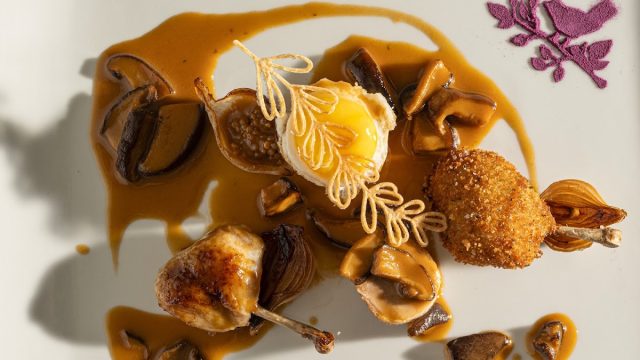 Harmony – Gourmet Dining Experiences