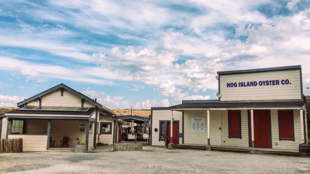 Hog Island Oyster General Store