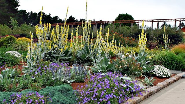 Humboldt Botanical Garden
