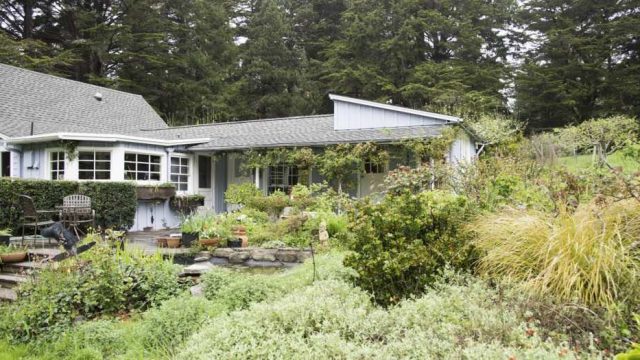 Hummingbird Haven Mendocino