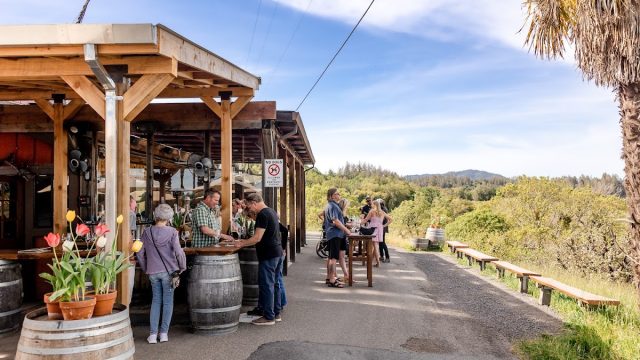 Iron Horse Vineyards