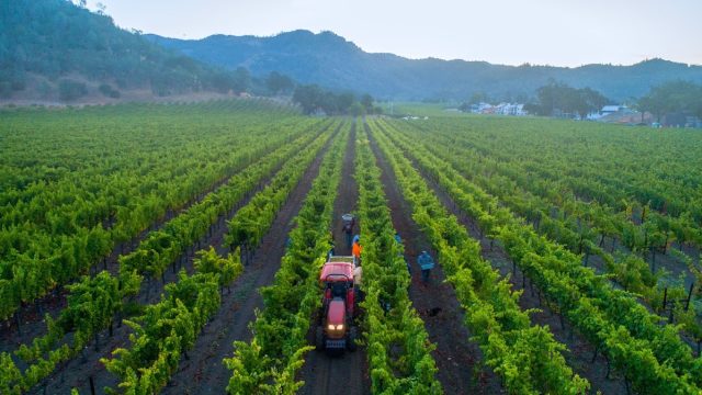 Kenefick Ranch Vineyard & Winery
