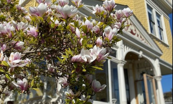 Lady Anne Bed & Breakfast