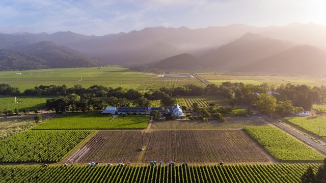 Larkmead Vineyards