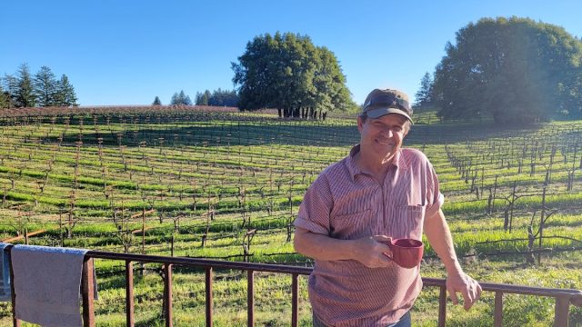 Mariah Vineyards