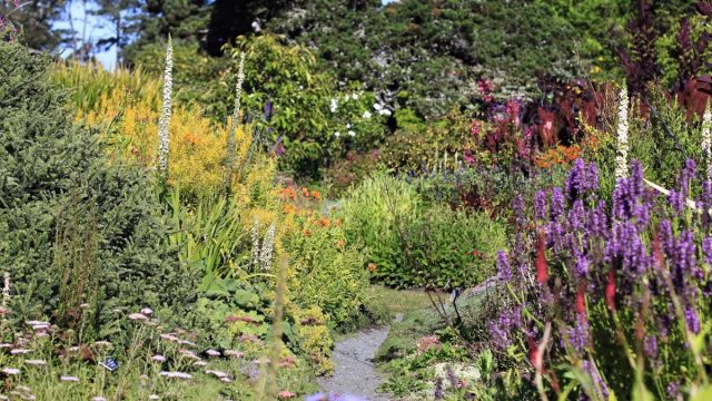 Mendocino Coast Botanical Gardens