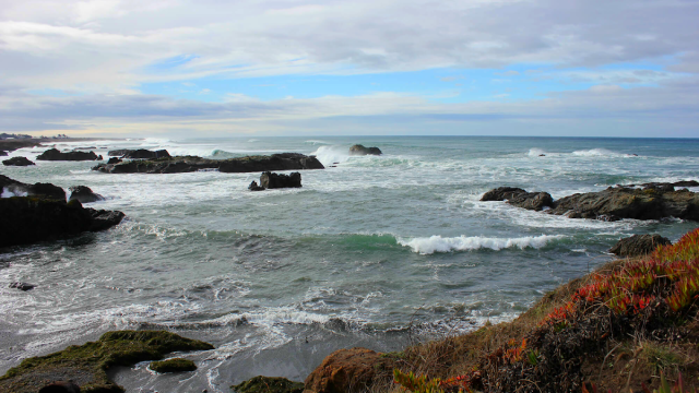 Mendocino Coast Property Management