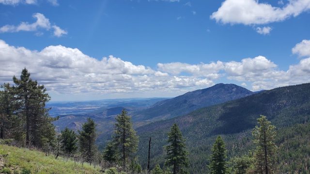 Mendocino National Forest