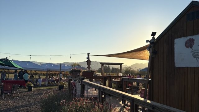 Mia Bea Wines