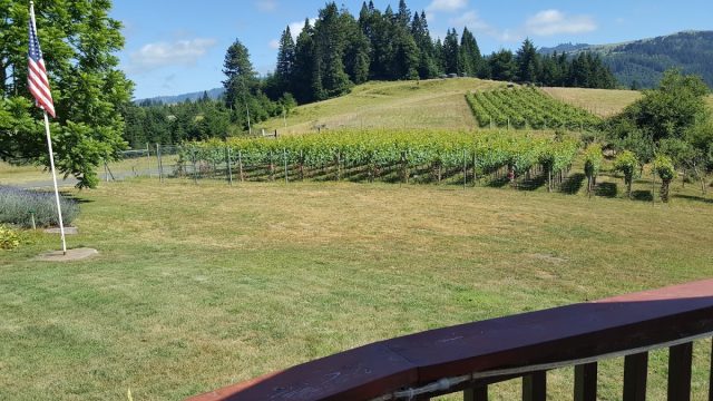 Monument Mountain Vineyards