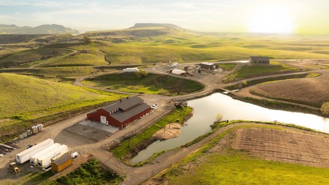 NorCal Vineyards