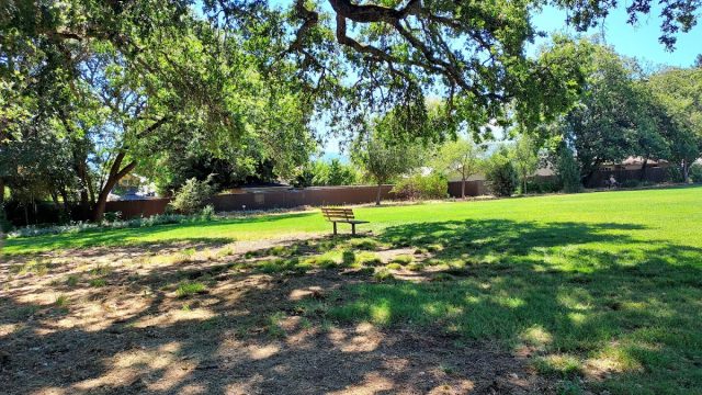Observatory Park