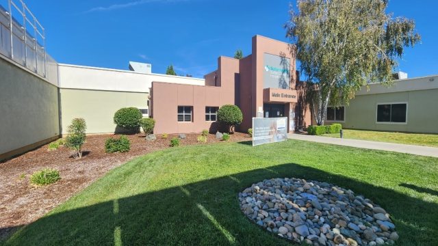 Olea Landscaping Services