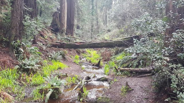 Otis R. Johnson Wilderness Park