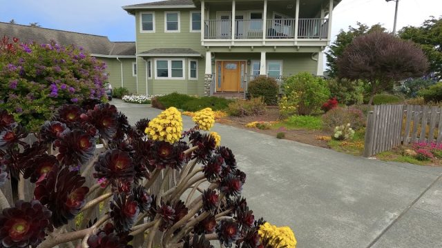 Patsy’s Place of Humboldt