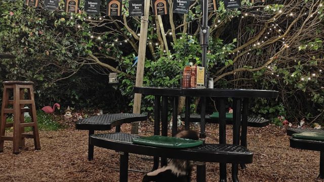 Patterson’s Pub