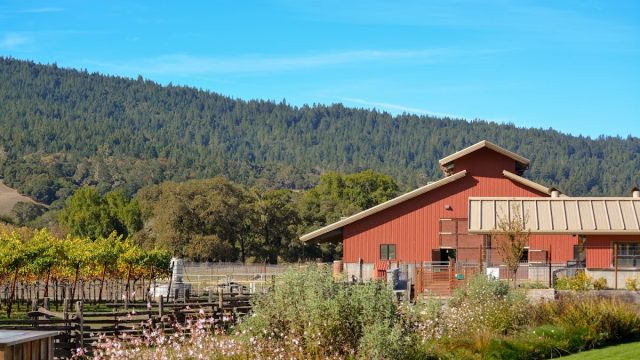 Pennyroyal Farm