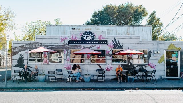 Petaluma Coffee & Tea Co.