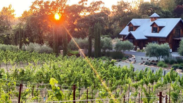 PHIFER PAVITT Wine & Winery